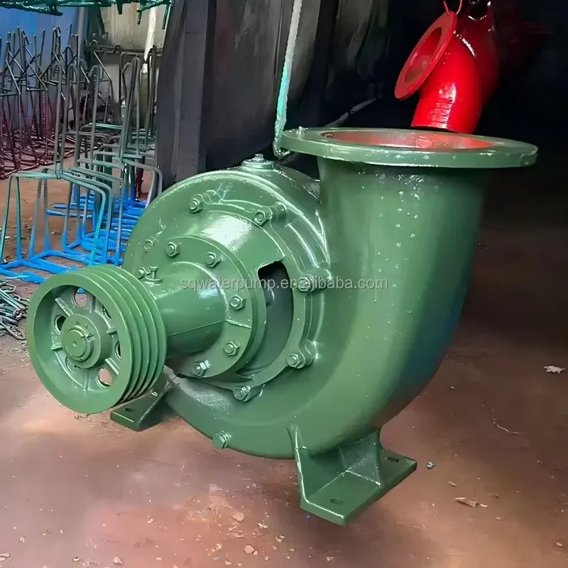 250HW-7 Mixed Flow Pump 600m3/h High-flow Trailer Pump Drainage Pump
250HW-7 Mixed Flow Pump 600m3/h High-flow Trailer Pump Drainage Pump