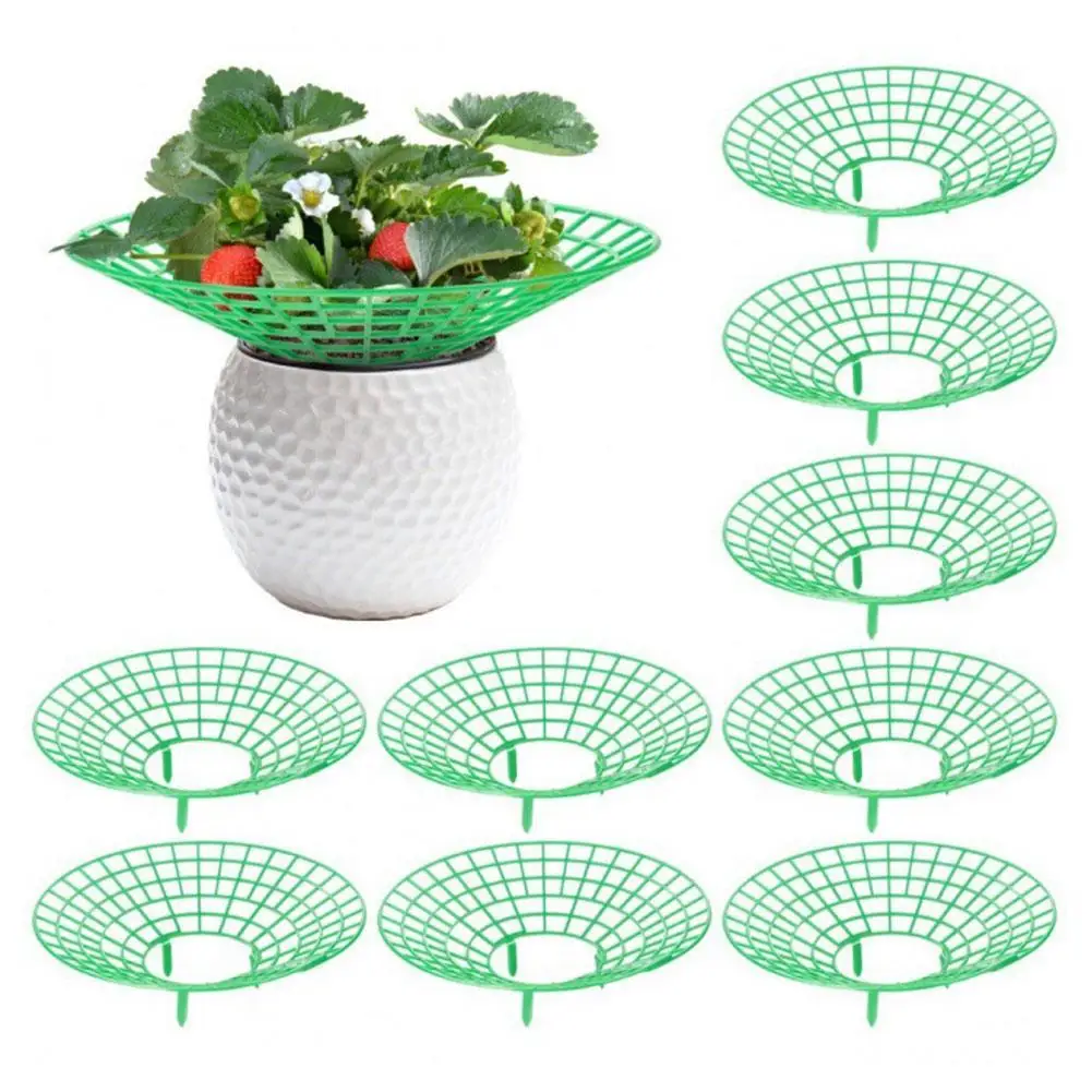 10pcs Strawberry Plant Supports With 3 Sturdy Legs Strawberry Growing Racks Protector Frame Holder Cage From Mold Rot Dirt
10pcs Strawberry Plant Supports With 3 Sturdy Legs Strawberry Growing Racks Protector Frame Holder Cage From Mold Rot Dirt