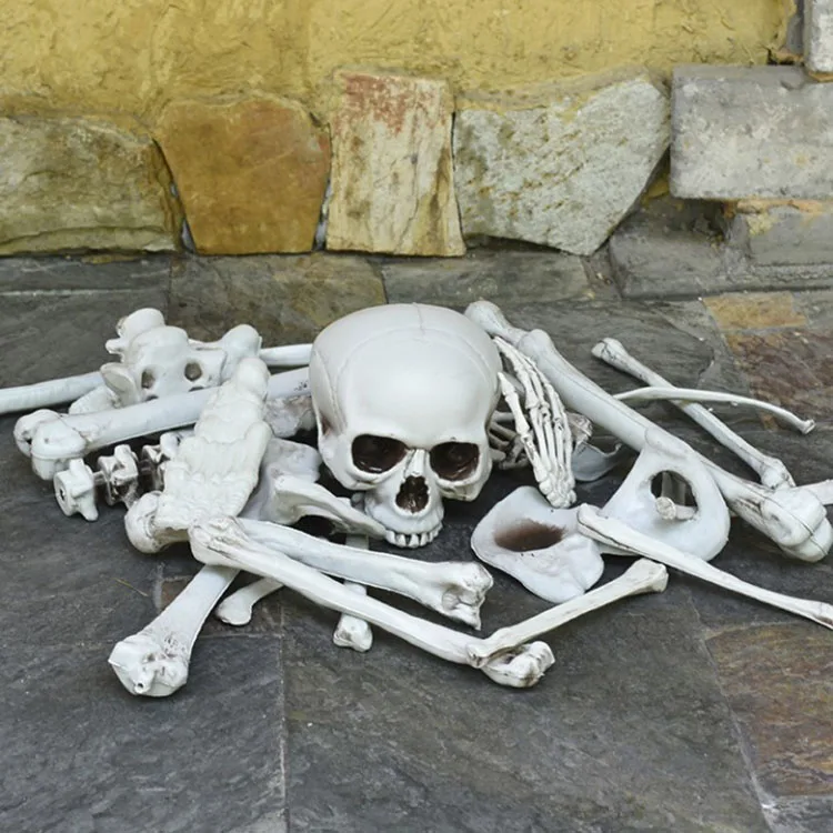Haunted House Secret Room Bar Horror Props Halloween Decoration Simulation Skull Skeleton Man Loose Bones Skeleton Ornament
Haunted House Secret Room Bar Horror Props Halloween Decoration Simulation Skull Skeleton Man Loose Bones Skeleton Ornament