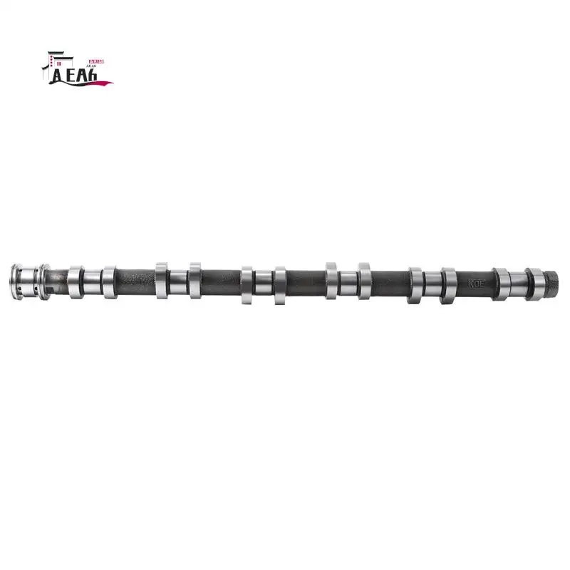 AEA6-11317563665 Exhaust Camshaft Engine Cylinder Head Accessory Part For BMW N52 N52N E60 E90 E85 E89
AEA6-11317563665 Exhaust Camshaft Engine Cylinder Head Accessory Part For BMW N52 N52N E60 E90 E85 E89
