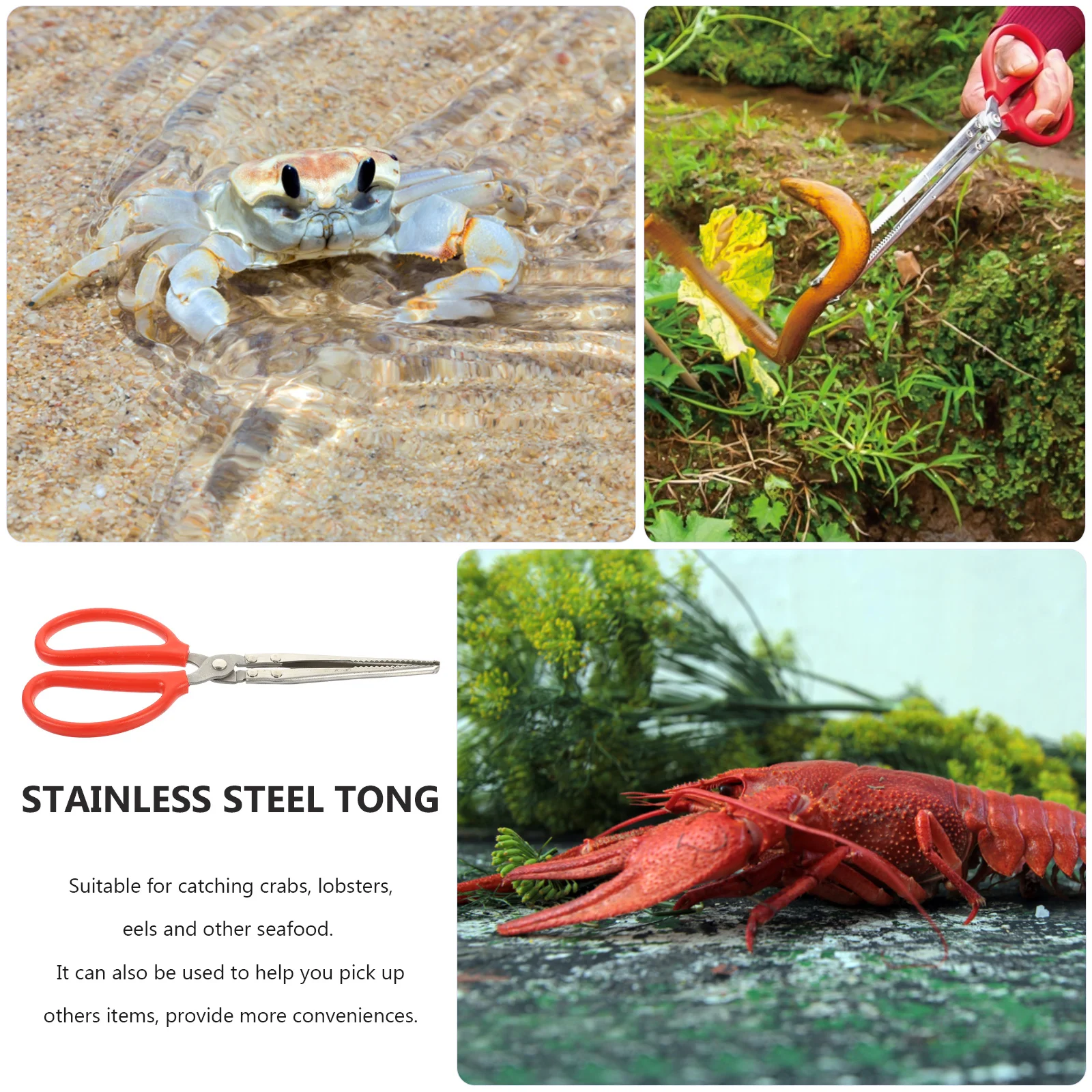 Crab Tong Stainless Steel Multi-Function Clip Scissor Tong Non-Slip Handle Seafood Grabber Cooking Tool Crab Clip
Crab Tong Stainless Steel Multi-Function Clip Scissor Tong Non-Slip Handle Seafood Grabber Cooking Tool Crab Clip