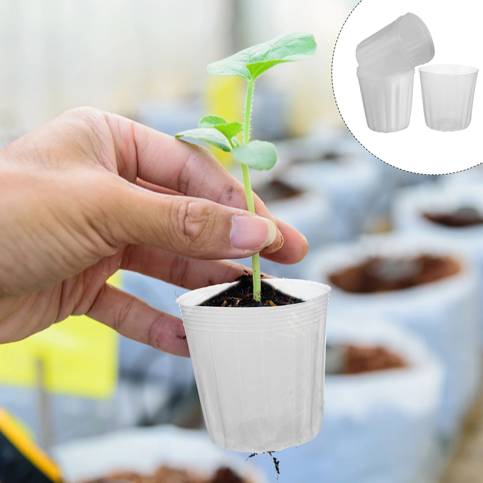 40Pcs Plant Nursery Cups Transparent Plastic Lightweight Gardening Pots Drainage Holes Seedling Containers for Succulents
40Pcs Plant Nursery Cups Transparent Plastic Lightweight Gardening Pots Drainage Holes Seedling Containers for Succulents