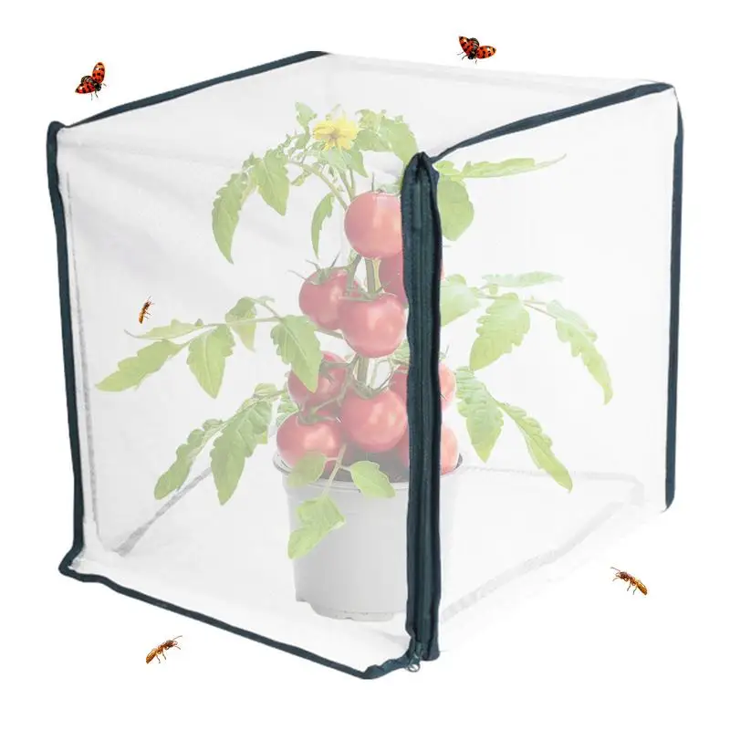 Garden Mesh Netting For Plants Outdoor Tomato Plant Netting With Zipper Fruit Tree Net Garden Protection For Vegetable Fruit
Garden Mesh Netting For Plants Outdoor Tomato Plant Netting With Zipper Fruit Tree Net Garden Protection For Vegetable Fruit
