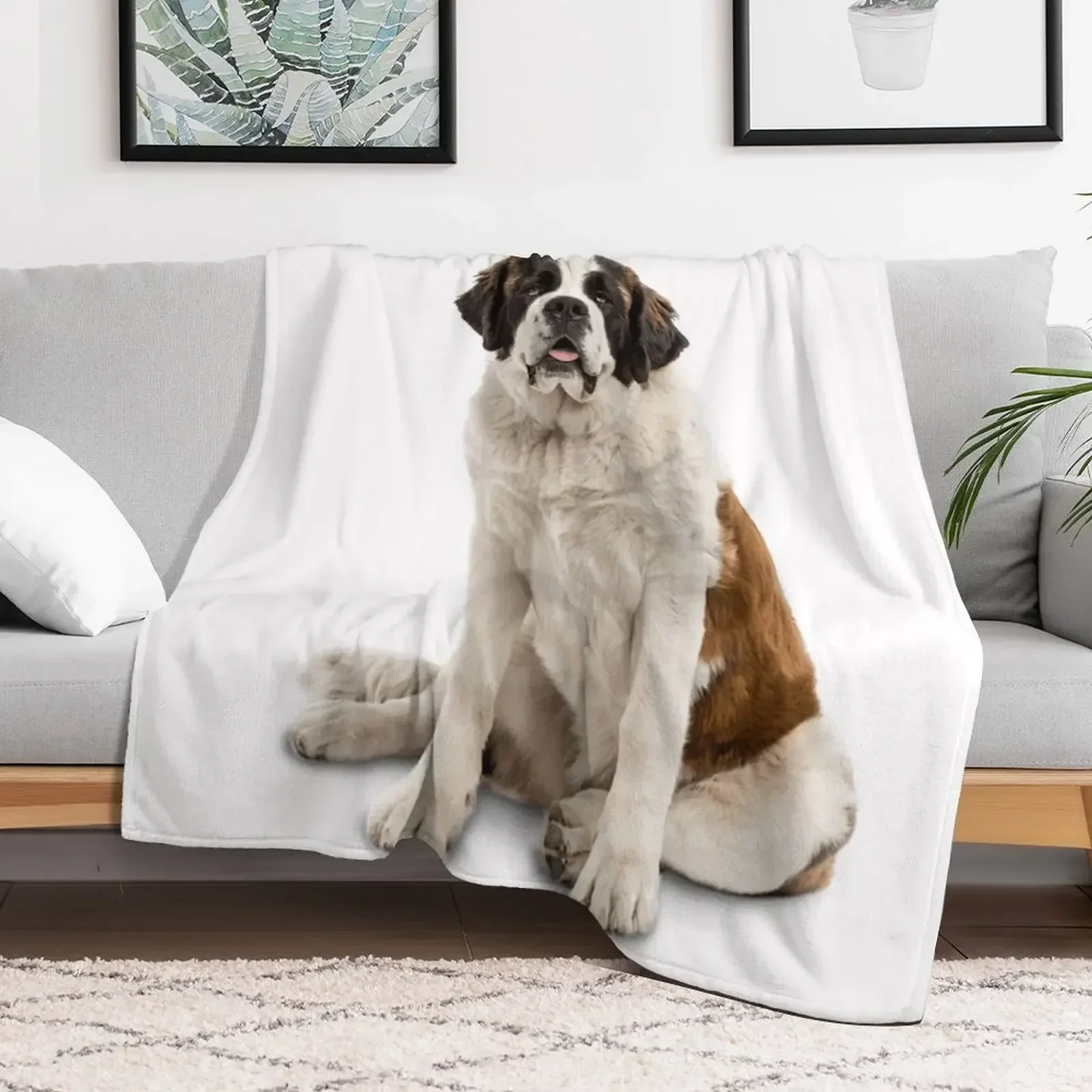 A Patient St. Bernard Throw Blanket christmas gifts Giant Sofa Moving Decorative Sofas Blankets
A Patient St. Bernard Throw Blanket christmas gifts Giant Sofa Moving Decorative Sofas Blankets