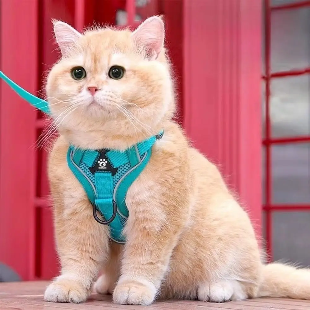 Reflective Trim Cat Harness Leash Breathable Vest Style Cat Harness Leash Set Escape Proof Anti Escape Reflective Cat Harness
Reflective Trim Cat Harness Leash Breathable Vest Style Cat Harness Leash Set Escape Proof Anti Escape Reflective Cat Harness