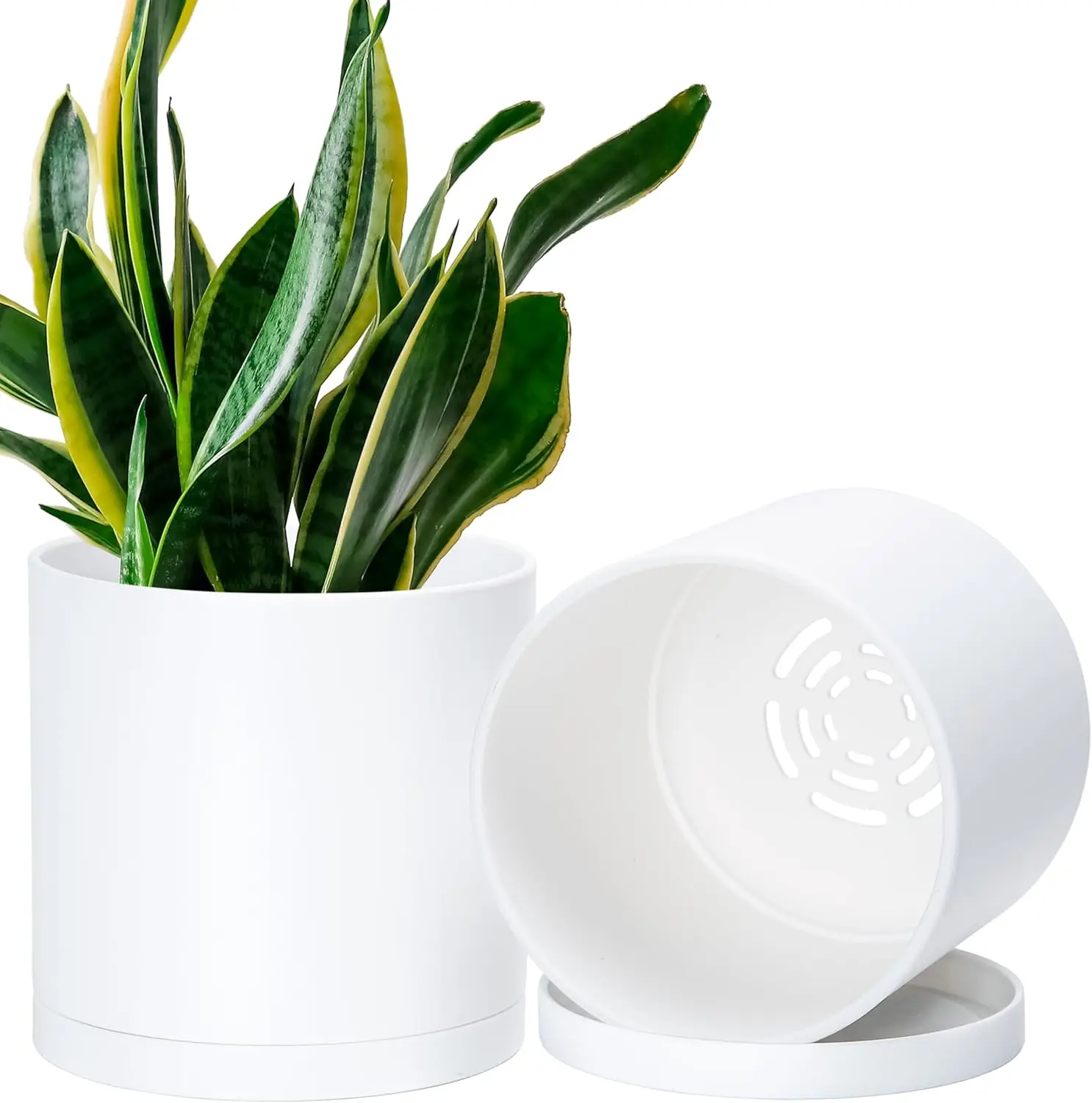 2 Pack 6.5 Inch Modern Plastic Plant Pots, Small Garden Planters for Plant with Drainage Holes and Saucers, White Color,
2 Pack 6.5 Inch Modern Plastic Plant Pots, Small Garden Planters for Plant with Drainage Holes and Saucers, White Color,