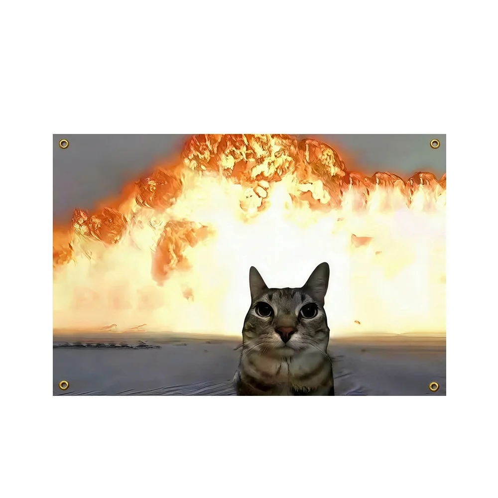 2x3ft 3x5ft Funny Cat Meme Flag with Explosion Background Polyester Tapestry Wall Hanging for College Dorm Bedroom Man Cave Deco
2x3ft 3x5ft Funny Cat Meme Flag with Explosion Background Polyester Tapestry Wall Hanging for College Dorm Bedroom Man Cave Deco