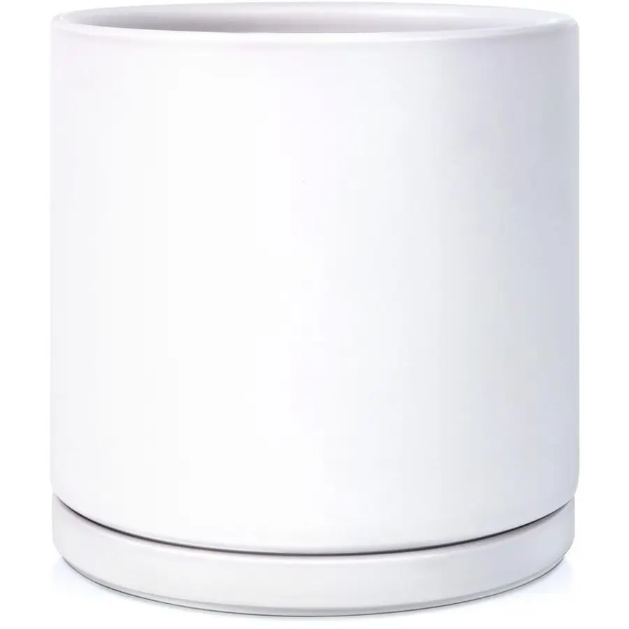 Керамический горшок для растений, 10 дюймов, матовый белый, большой цилиндрический цветочный горшок с поддоном и дренажем, для комнатных и уличных растений и цветов
Керамический горшок для растений, 10 дюймов, матовый белый, большой цилиндрический цветочный горшок с поддоном и дренажем, для комнатных и уличных растений и цветов