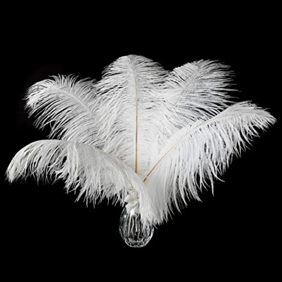 24pcs Natural White Ostrich Feathers 0-2inch 25-30cm for Wedding Party Centerpieces Flower Arrangement and Home Decoration.
24pcs Natural White Ostrich Feathers 0-2inch 25-30cm for Wedding Party Centerpieces Flower Arrangement and Home Decoration.