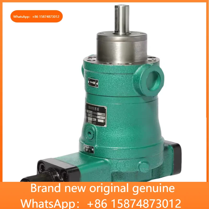 Oil Pump 10YCY14-1B 25YCY14-1B 40YCY14-1B 63YCY14-1B 80YCY14-1B 160YCY14-1B 250YCY14-1B 400YCY14-1B Hydraulic Axial Piston Pump
Oil Pump 10YCY14-1B 25YCY14-1B 40YCY14-1B 63YCY14-1B 80YCY14-1B 160YCY14-1B 250YCY14-1B 400YCY14-1B Hydraulic Axial Piston Pump