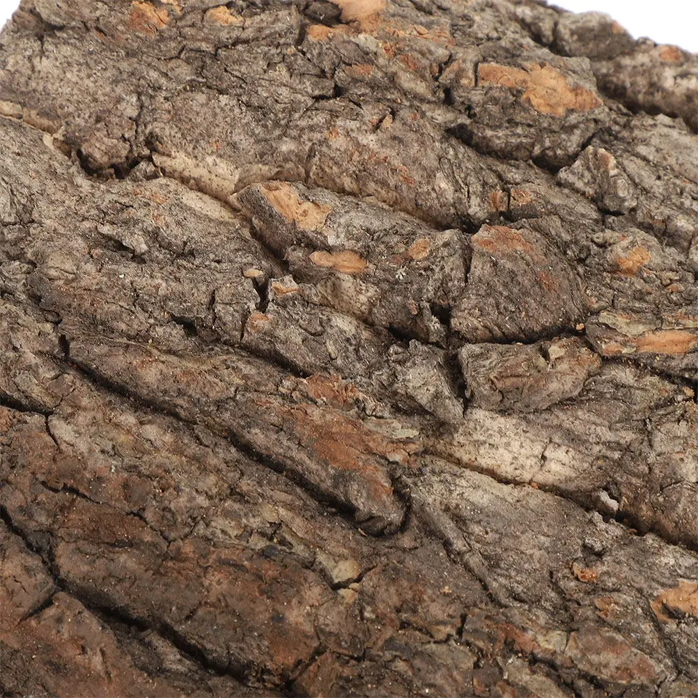2pcs Natural Cork Bark Terrarium Background Tree Bark ornament reptile climbing Bark fish tank Landscaping decor Reptile Supply
2pcs Natural Cork Bark Terrarium Background Tree Bark ornament reptile climbing Bark fish tank Landscaping decor Reptile Supply