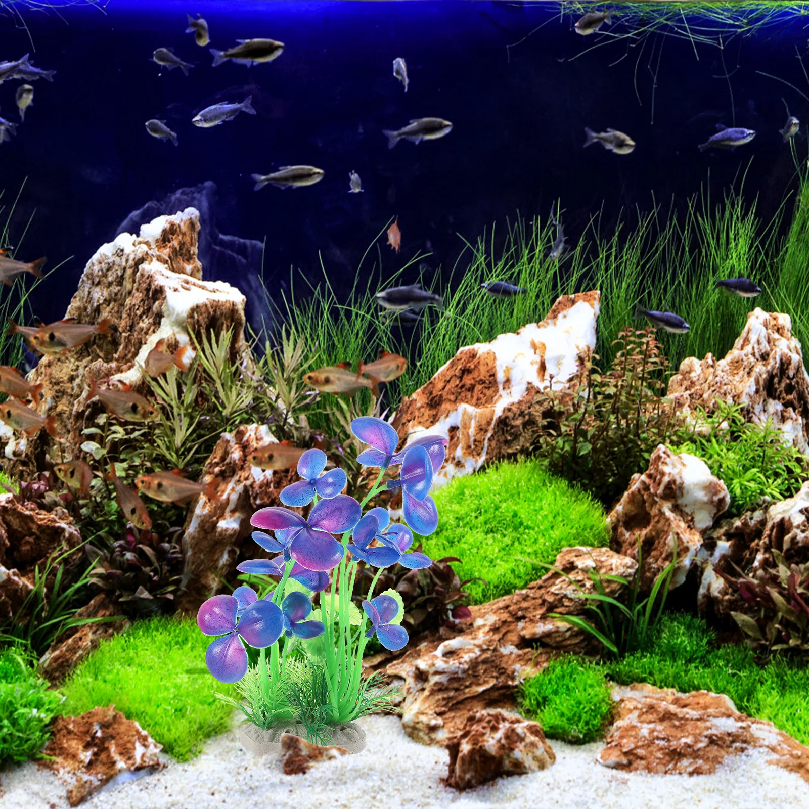 5pcs Fish Tank Decorations Aquarium Plants Plastic Centerpieces Accessories Bowls L scaping Realistic Durable Non Fading
5pcs Fish Tank Decorations Aquarium Plants Plastic Centerpieces Accessories Bowls L scaping Realistic Durable Non Fading