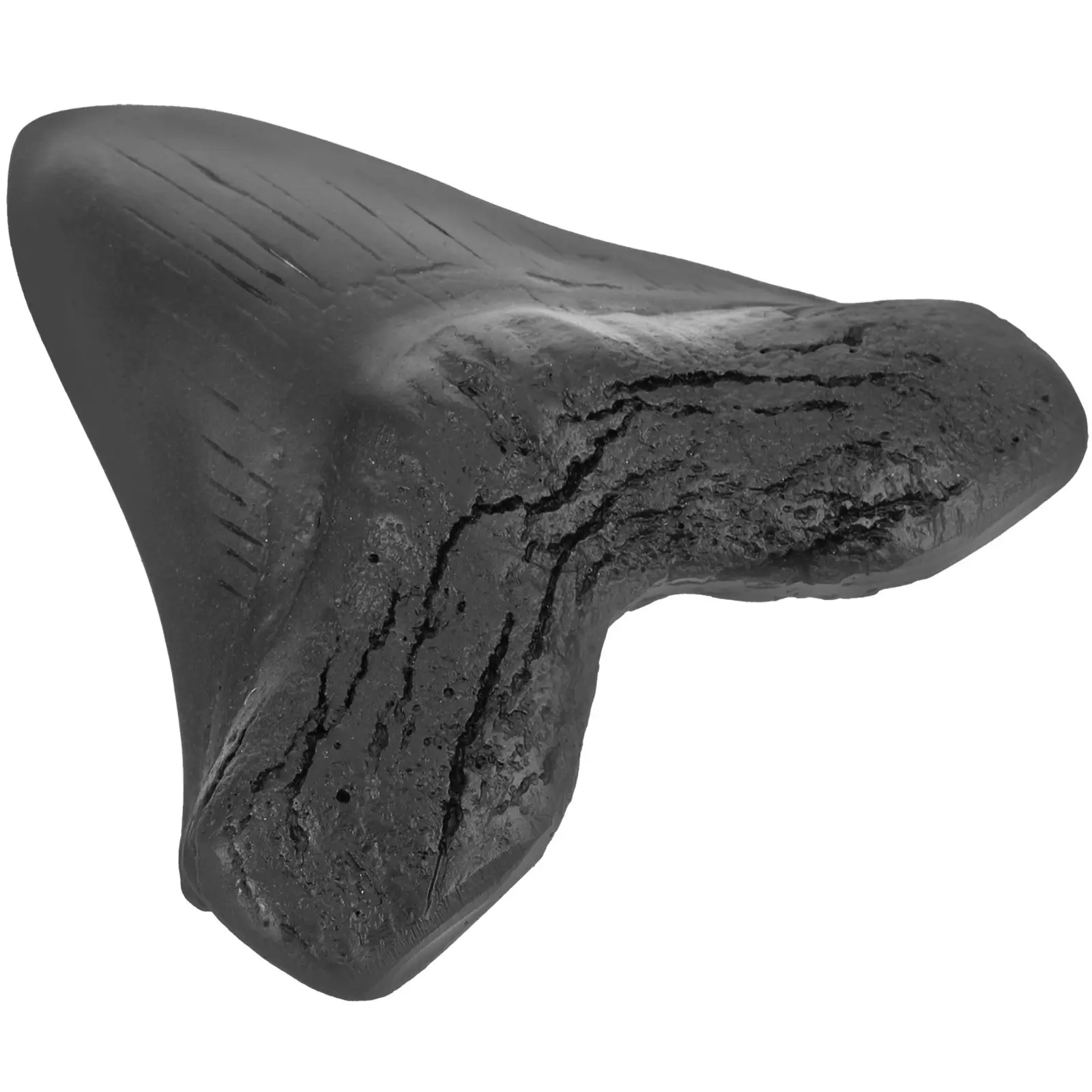Model Decor Resin Craft Paleontological Student Sample Home Decor Simulation Giant
Model Decor Resin Craft Paleontological Student Sample Home Decor Simulation Giant