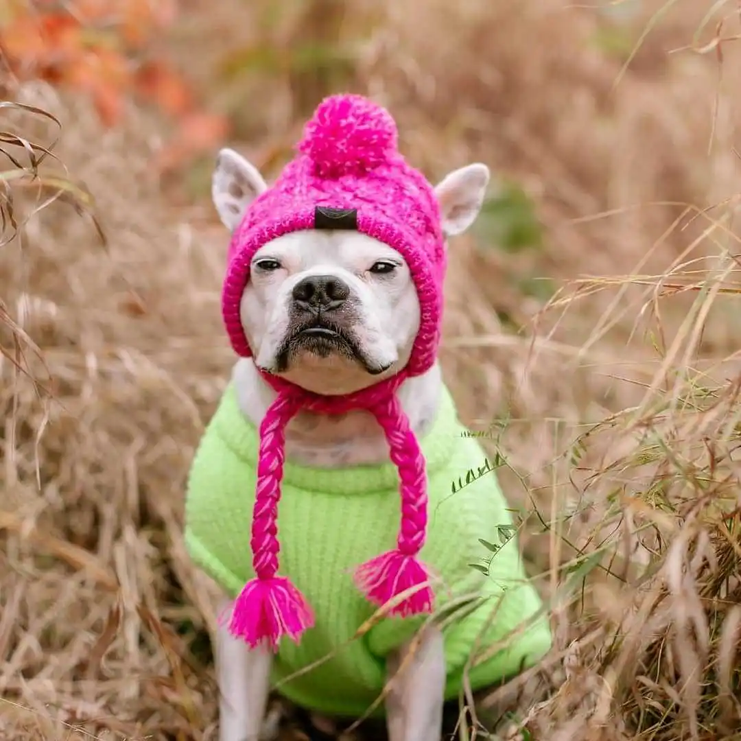 Pet Dog Hat for Small Dogs Puppy Cap for French Bulldog Warm Knitting Dog Hat for Yorkies with Puff Ball Windproof Wool Pet Hat
Pet Dog Hat for Small Dogs Puppy Cap for French Bulldog Warm Knitting Dog Hat for Yorkies with Puff Ball Windproof Wool Pet Hat