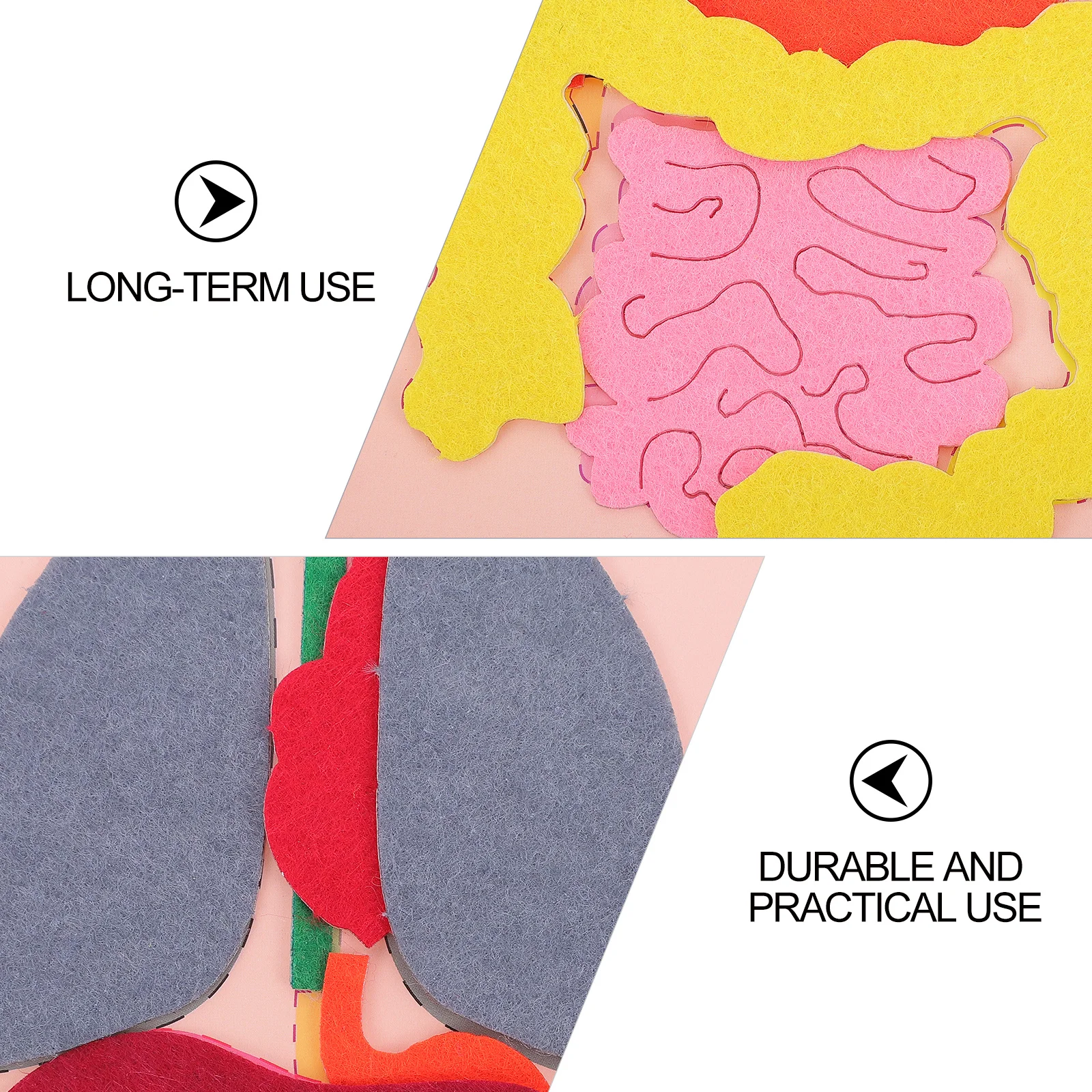 3Sets Cognitive Organs Creative DIY Educational Teaching Aid Enhancing Patience Imagination and 
3Sets Cognitive Organs Creative DIY Educational Teaching Aid Enhancing Patience Imagination and