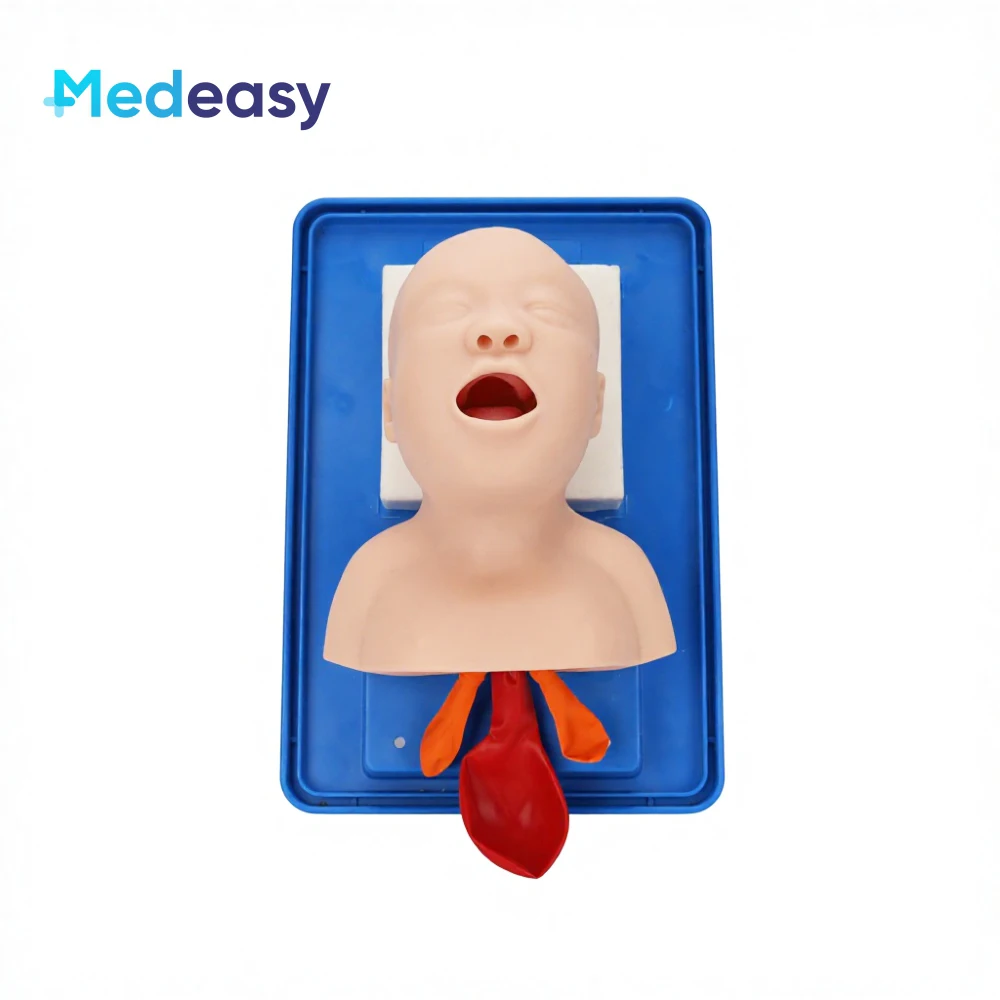 Advanced Infant Tracheal Intubation Training Simulator Model Neonatal Airway Training Manikin for Newborn
Advanced Infant Tracheal Intubation Training Simulator Model Neonatal Airway Training Manikin for Newborn
