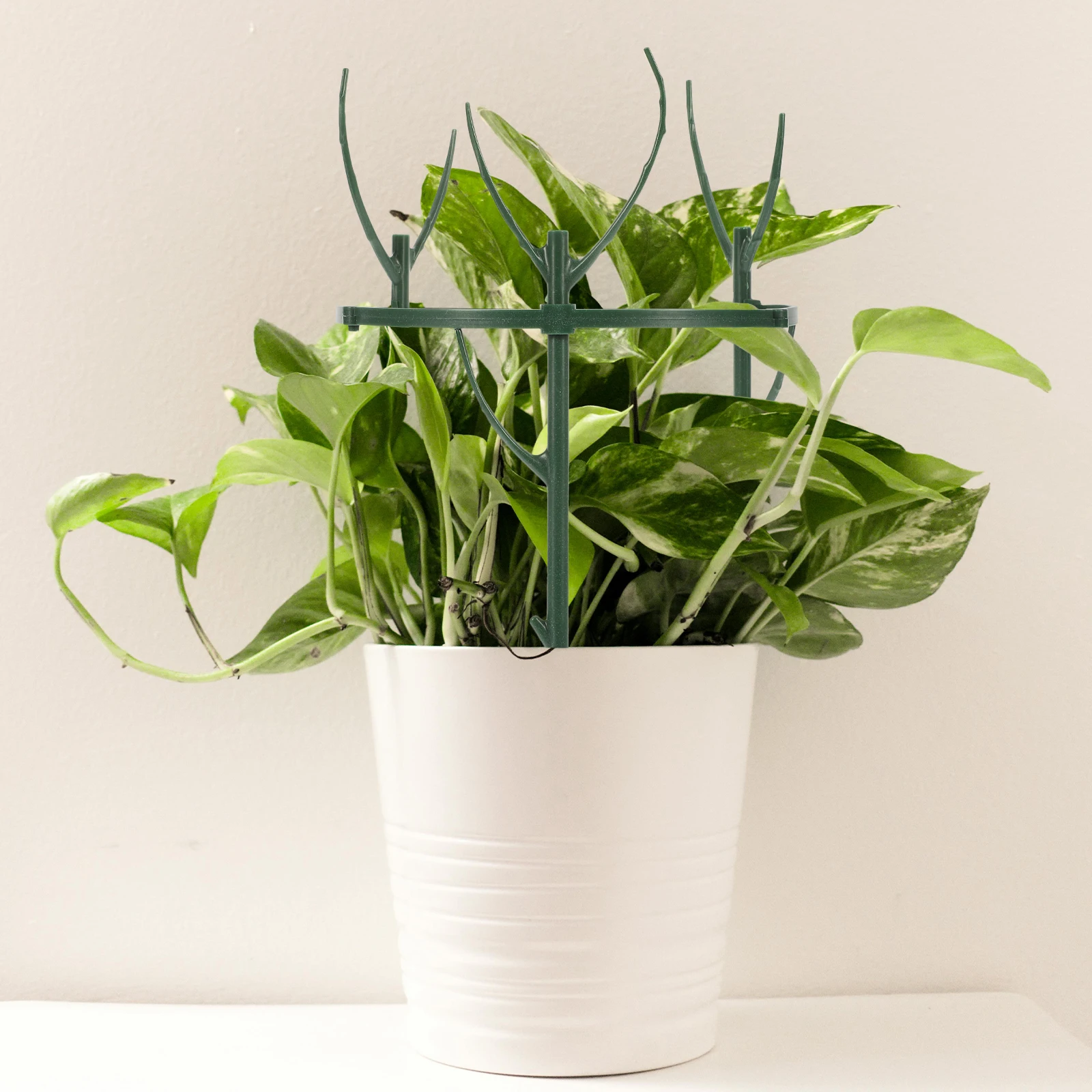 Рамка для поддержки растений Съемная решетка ветки Прочный материал Штабелируемая конструкция Крытый и открытый садовые принадлежности Клетки для растений Цветочные
Рамка для поддержки растений Съемная решетка ветки Прочный материал Штабелируемая конструкция Крытый и открытый садовые принадлежности Клетки для растений Цветочные