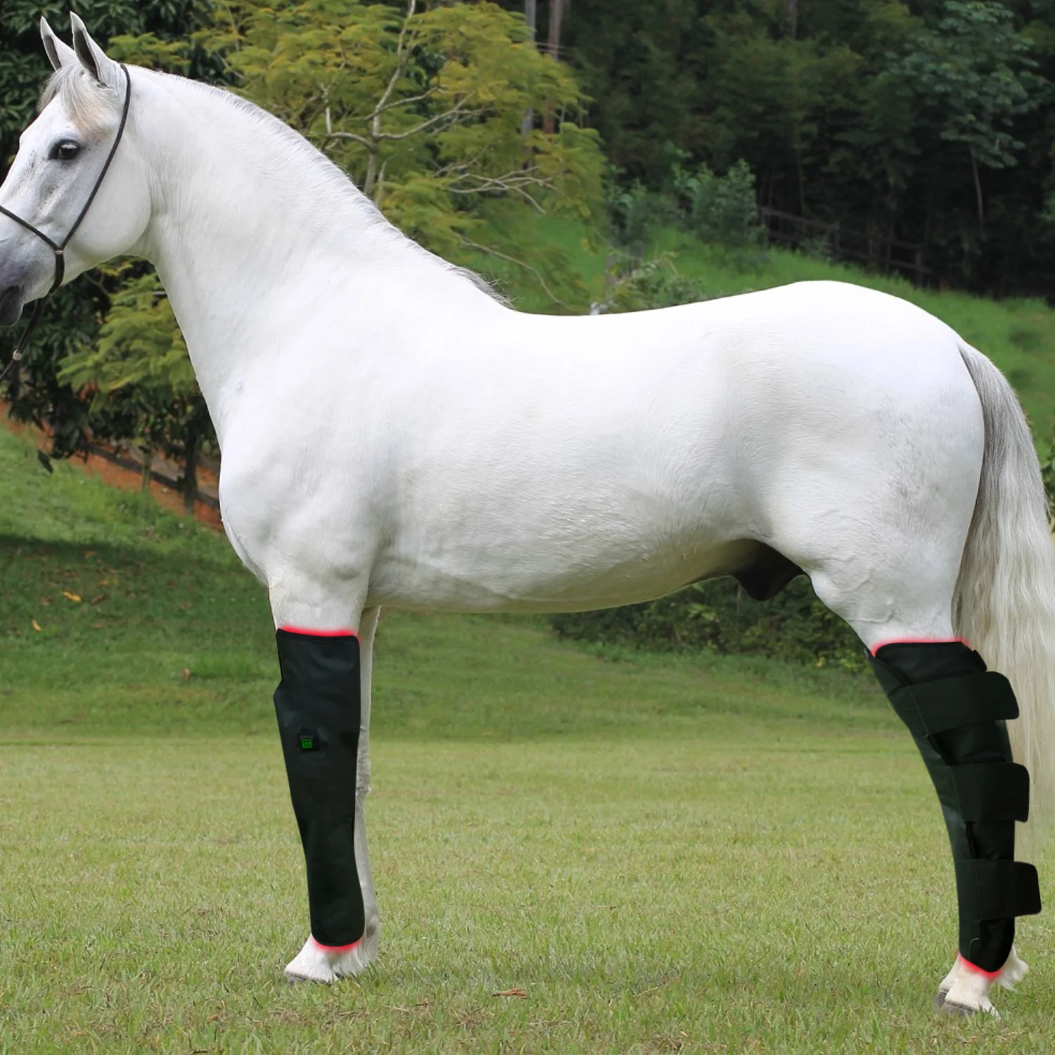 Horse Boots 660nm 850nm Red& Light Therapy Equine Full Legs Led Grow Light Therapy Wrap For Pain Relief & Repairing
Horse Boots 660nm 850nm Red& Light Therapy Equine Full Legs Led Grow Light Therapy Wrap For Pain Relief & Repairing