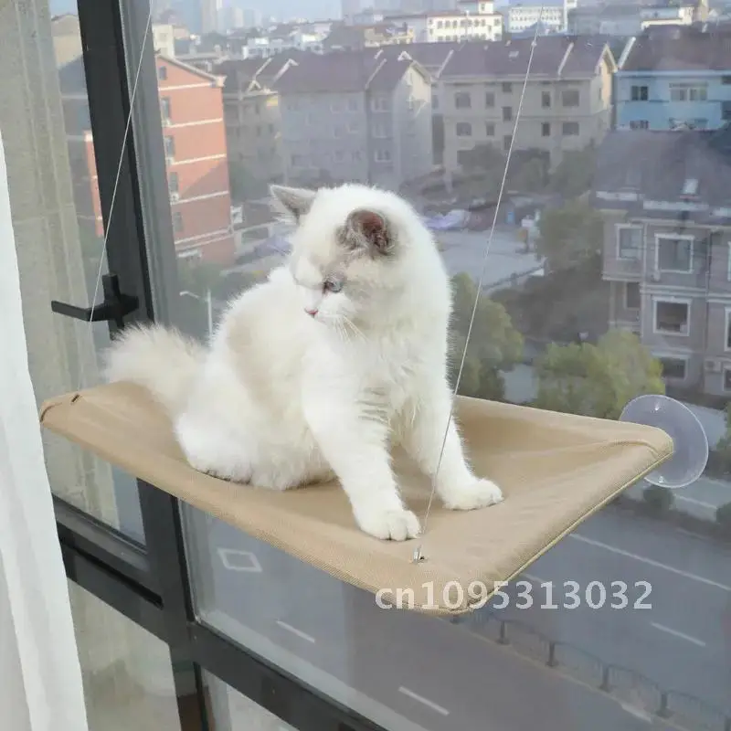 Hanging Cat Seat Four Seasons Universal Cats Aerial Hammock Accessories Pet Bearing 20kg Frame Kitten Bed Climbing Window Sunny
Hanging Cat Seat Four Seasons Universal Cats Aerial Hammock Accessories Pet Bearing 20kg Frame Kitten Bed Climbing Window Sunny