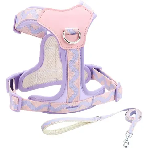 Juego de arnés y correa para perros grandes, arnés para perros sin tirar con 2 Clips de correa, arnés para cachorros antiescape fácil para caminar, chaleco ajustable para perros H