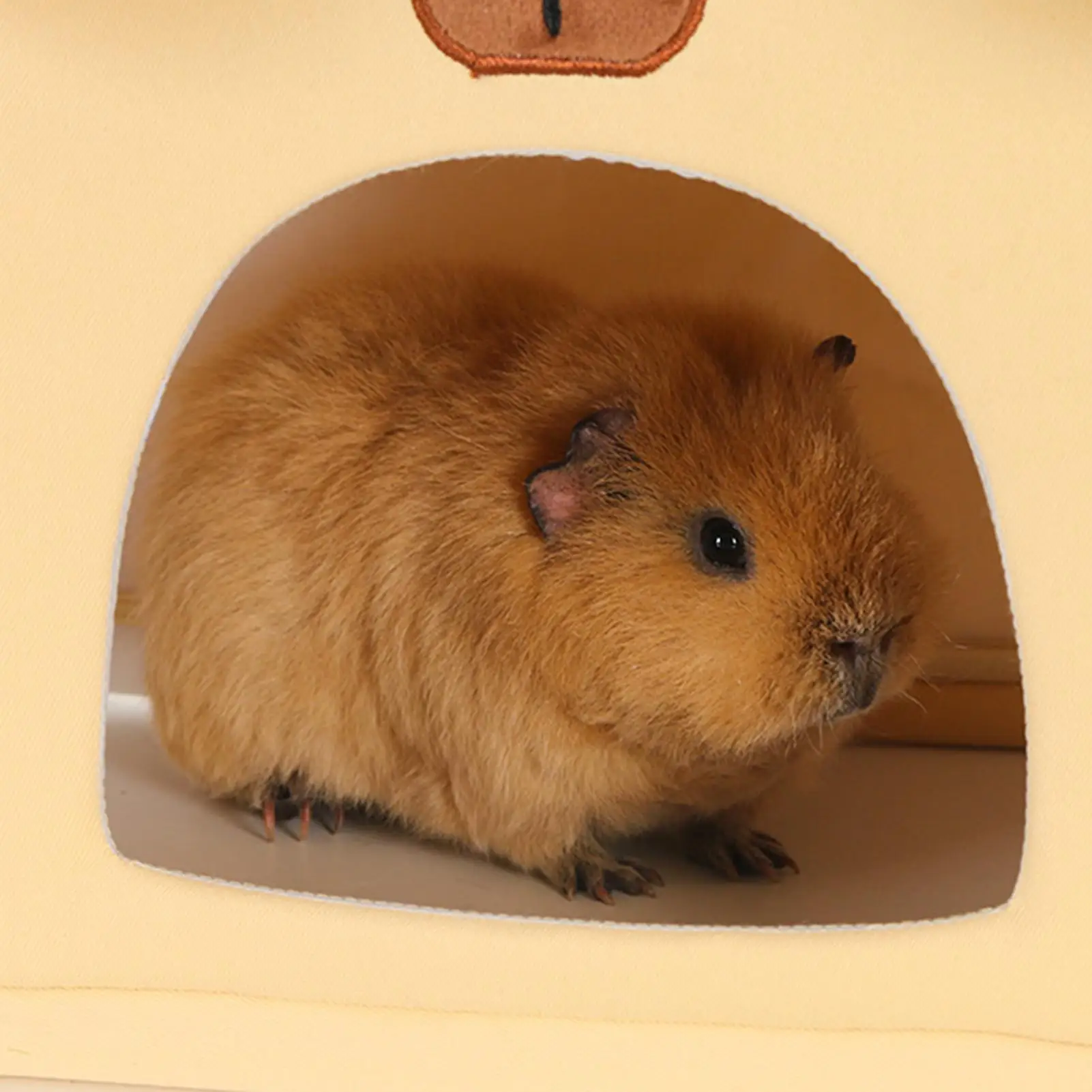 Small Animal Beds Comfortable Cooling Waterproof Small Animal Tent Bed For Cage For Chinchilla Bunny Squirrel Dog Cat Ferret
Small Animal Beds Comfortable Cooling Waterproof Small Animal Tent Bed For Cage For Chinchilla Bunny Squirrel Dog Cat Ferret