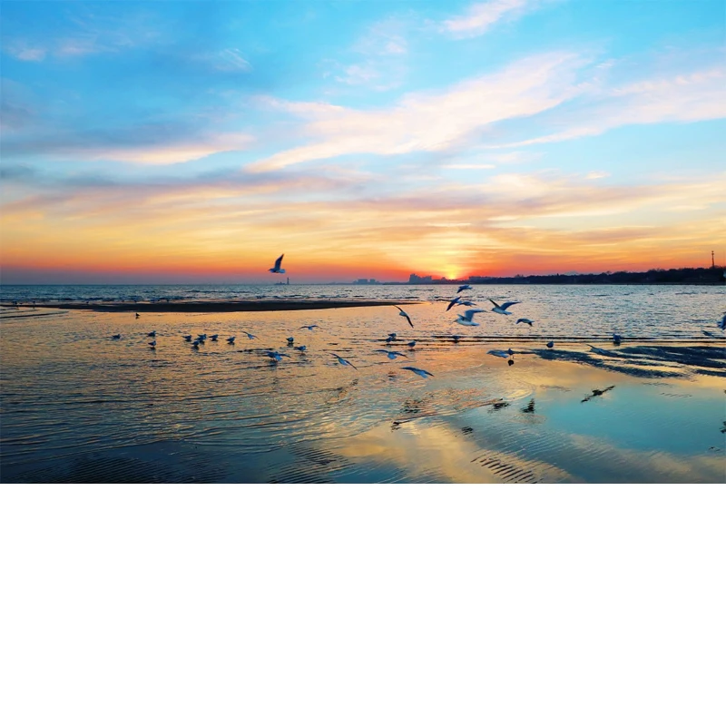 Outdoor Full Car Cover For Ferrari 296 GTB with Reflective Strips Waterproof Snowproof Dustproof UV Protection Auto Accessory
Outdoor Full Car Cover For Ferrari 296 GTB with Reflective Strips Waterproof Snowproof Dustproof UV Protection Auto Accessory