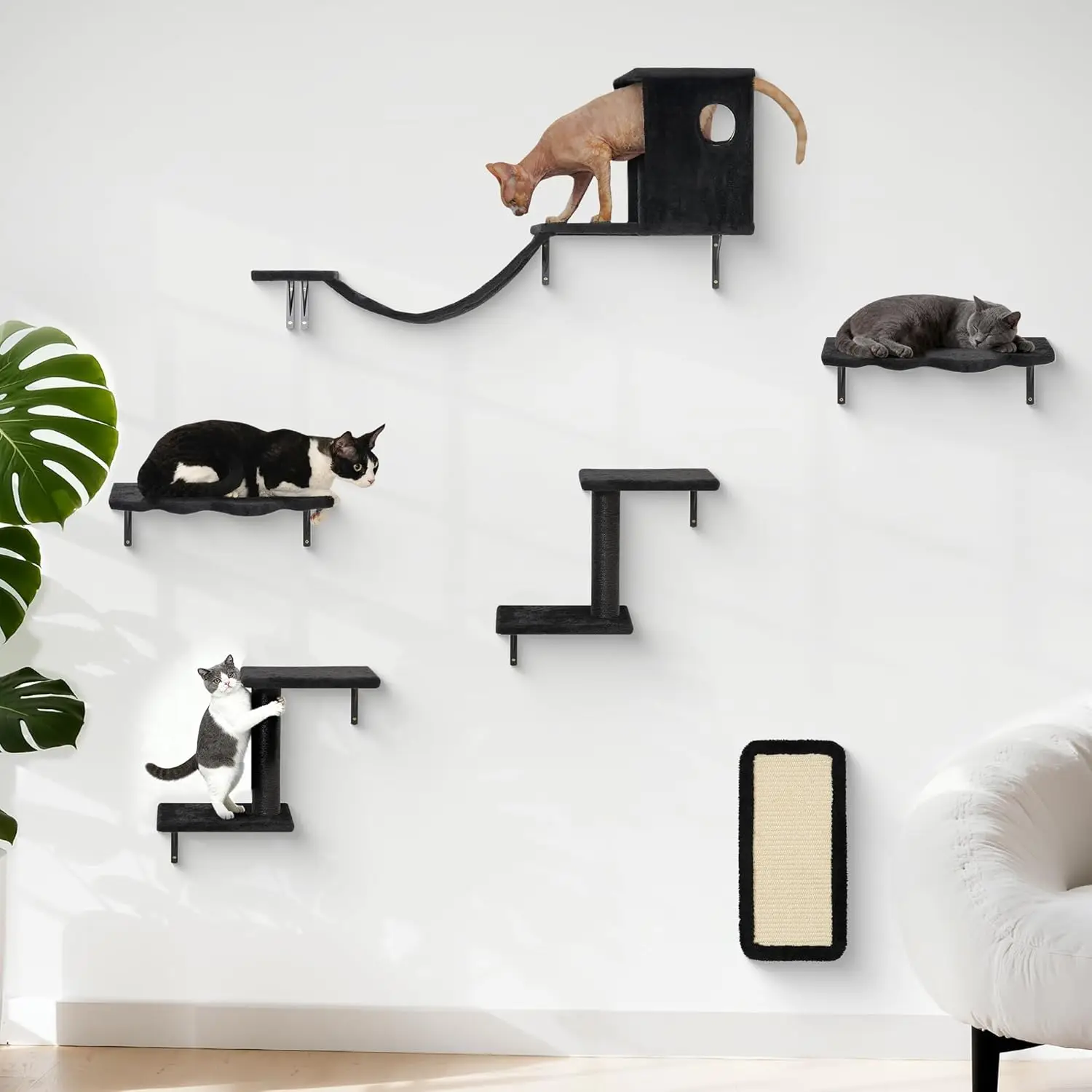 Indoor Cat Furniture, Metal and Wood, Black, 6-in-1 Design, Space-Saving
Indoor Cat Furniture, Metal and Wood, Black, 6-in-1 Design, Space-Saving
