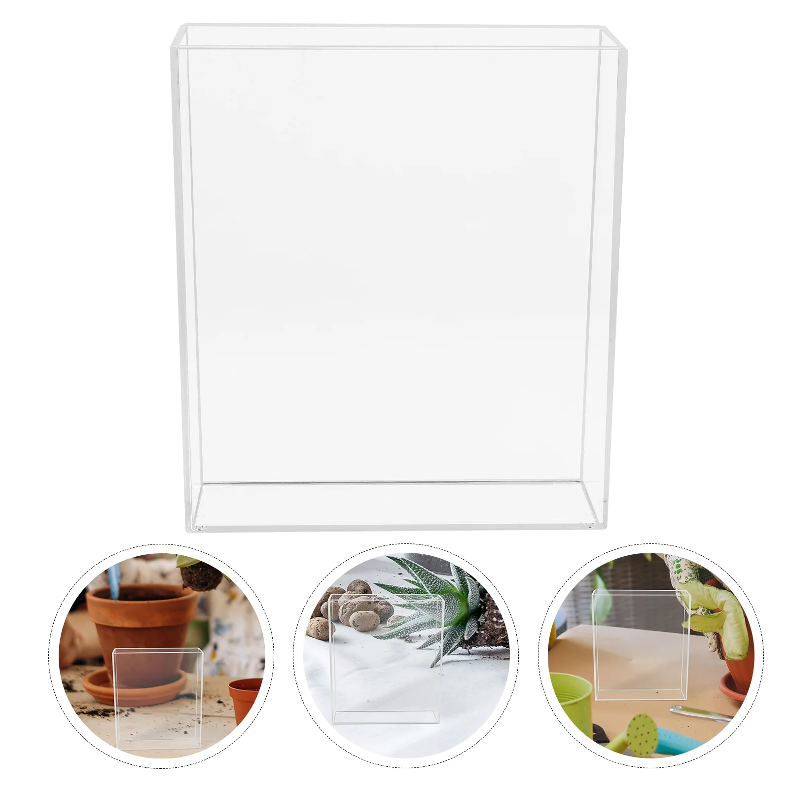 Plant Observation Box Root Viewer Kit for Kids Small Indoor Greenhouse Bottom Watering Tray Grow Tent Kits Seedling Starter
Plant Observation Box Root Viewer Kit for Kids Small Indoor Greenhouse Bottom Watering Tray Grow Tent Kits Seedling Starter