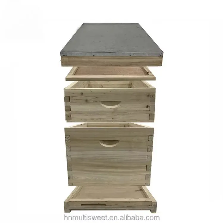 Hot Sale Cheap Dadant Beehive, Solid Wooden Ruche Beehive for Apiculture Use
Hot Sale Cheap Dadant Beehive, Solid Wooden Ruche Beehive for Apiculture Use