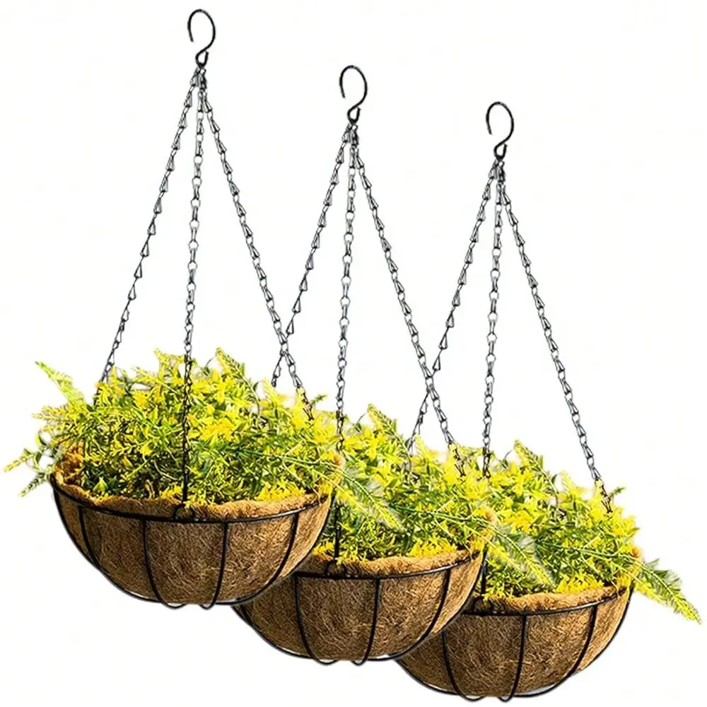 3 Pack 10inch Metal Hanging Flower Pots Hanging Planters Plant Basket With Coco Fiber LinersInchcolorinchInchBlackinch
3 Pack 10inch Metal Hanging Flower Pots Hanging Planters Plant Basket With Coco Fiber LinersInchcolorinchInchBlackinch