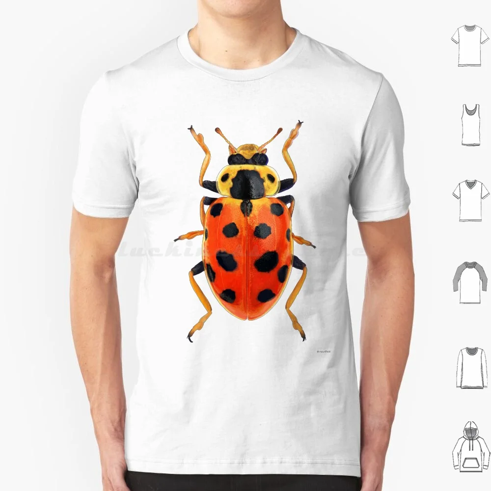 Orange Beetle T Shirt Big Size 100% Cotton Beetle Bug Insect Crawl Creepy Crawly Creature Animal Entomology Science Nature
Orange Beetle T Shirt Big Size 100% Cotton Beetle Bug Insect Crawl Creepy Crawly Creature Animal Entomology Science Nature