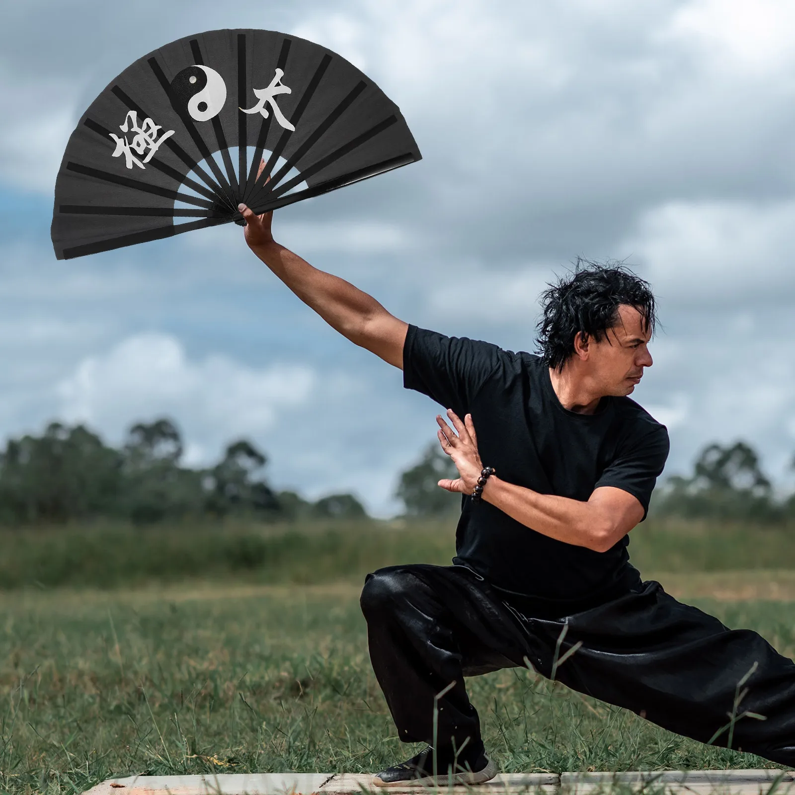 Tai Chi Fan Chinese Art Performance Foldable H held Sturdy Material Martial Arts Training Aid Home Office Decor Party Festival
Tai Chi Fan Chinese Art Performance Foldable H held Sturdy Material Martial Arts Training Aid Home Office Decor Party Festival