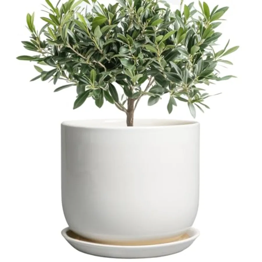 Ceramic Plant Pot - Modern Round Planter for Indoor Outdoor Plants with Drainage Hole and Saucer Home House Room Office Decor
Ceramic Plant Pot - Modern Round Planter for Indoor Outdoor Plants with Drainage Hole and Saucer Home House Room Office Decor