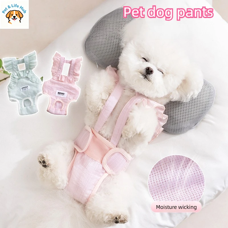 Трусики для собак, дышащие трусики для собак, физиологические штаны для собак, подгузники для собак, Calzones para perritas, товары для домашних животных
Трусики для собак, дышащие трусики для собак, физиологические штаны для собак, подгузники для собак, Calzones para perritas, товары для домашних животных