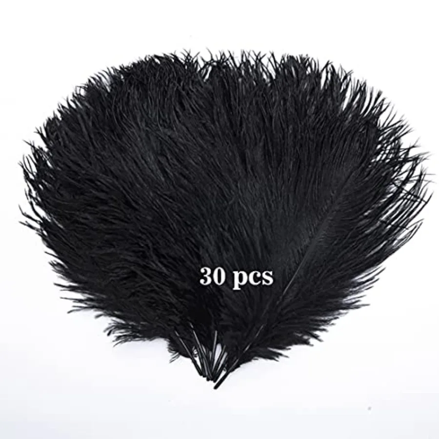 Hollosport 30PCS Bulk Black Ostrich Feathers 10-12 Inches for Centerpieces Party Wedding Home Decorations Dream Catchers Vases
Hollosport 30PCS Bulk Black Ostrich Feathers 10-12 Inches for Centerpieces Party Wedding Home Decorations Dream Catchers Vases
