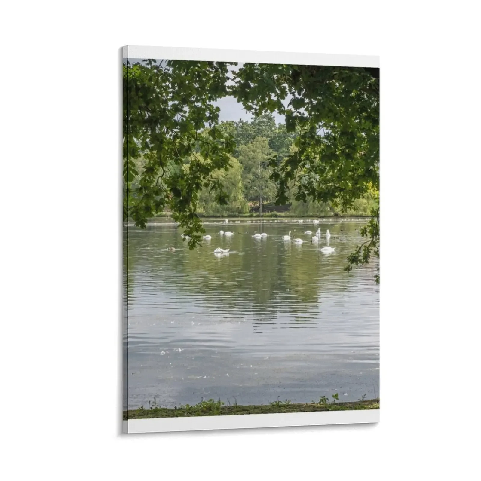 Roath Park Lake in Cardiff with swans and a fringe of tree branches Canvas Painting anime posters room decors aesthetic
Roath Park Lake in Cardiff with swans and a fringe of tree branches Canvas Painting anime posters room decors aesthetic