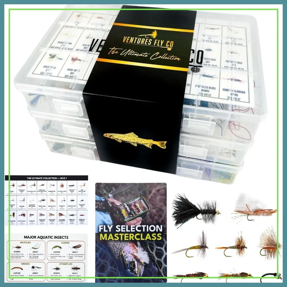 200 Premium Hand Tied Fly Fishing Flies Assortment with 3 Fly Boxes, Dry Wet Nymphs Streamers Terrestrials for Trout Bass
200 Premium Hand Tied Fly Fishing Flies Assortment with 3 Fly Boxes, Dry Wet Nymphs Streamers Terrestrials for Trout Bass