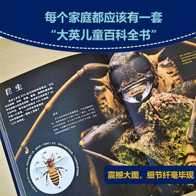 Великая британская детская энциклопедия (в твердом переплете) — китайское издание — «Десять тысяч вопросов для молодых студентов»
Великая британская детская энциклопедия (в твердом переплете) — китайское издание — «Десять тысяч вопросов для молодых студентов»