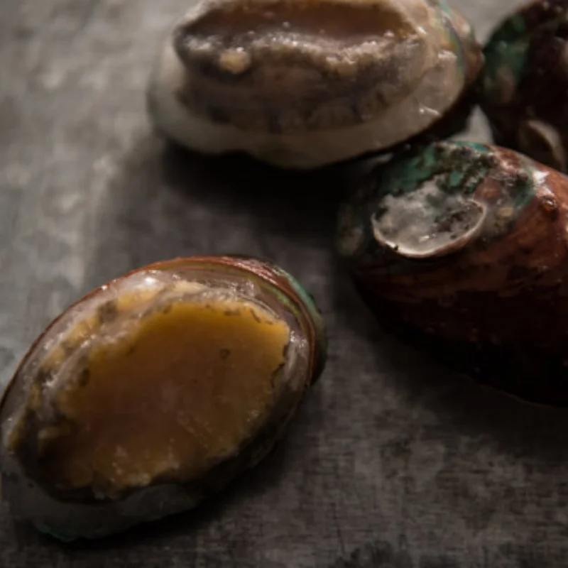 Metal Steel Drive Shaft CVD Driveshaft for 1/10 Crawler Car Axial SCX10 Capra Wraith Trxs TRX4 TRX6 Redcat GEN8 CC01
Metal Steel Drive Shaft CVD Driveshaft for 1/10 Crawler Car Axial SCX10 Capra Wraith Trxs TRX4 TRX6 Redcat GEN8 CC01