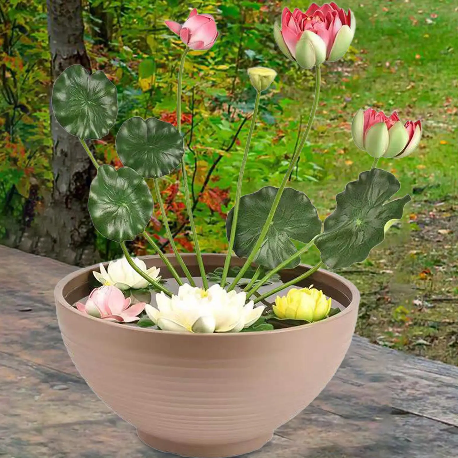 Garden Bowl Planter Flower Plant Planter Creative, Decoration, Water Plant Pot
Garden Bowl Planter Flower Plant Planter Creative, Decoration, Water Plant Pot