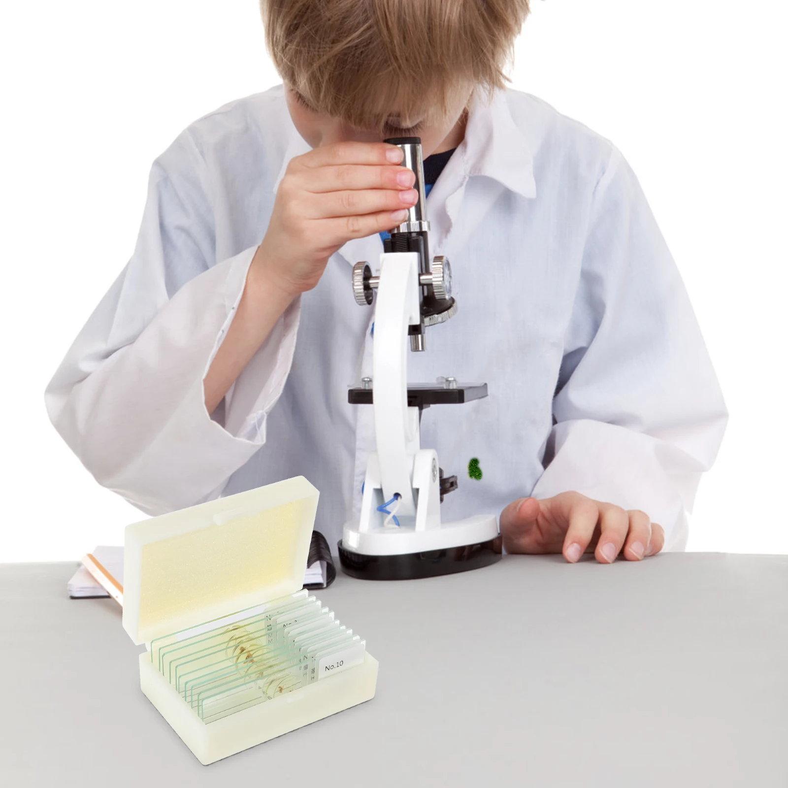 10pcs Insect Slides Prepared Microscope Specimens Kids Biology Education Gifts Portable Safe Practical Teaching Aids
10pcs Insect Slides Prepared Microscope Specimens Kids Biology Education Gifts Portable Safe Practical Teaching Aids