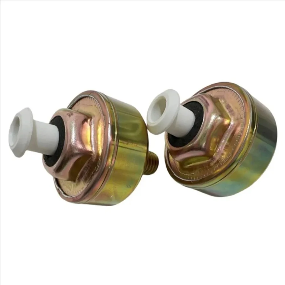 10456018 Front Knock Detonation Sensor New 10456288 For 1987-1994 Blazer 2002-2008 Lexus SC430 1997699 2PCS
10456018 Front Knock Detonation Sensor New 10456288 For 1987-1994 Blazer 2002-2008 Lexus SC430 1997699 2PCS
