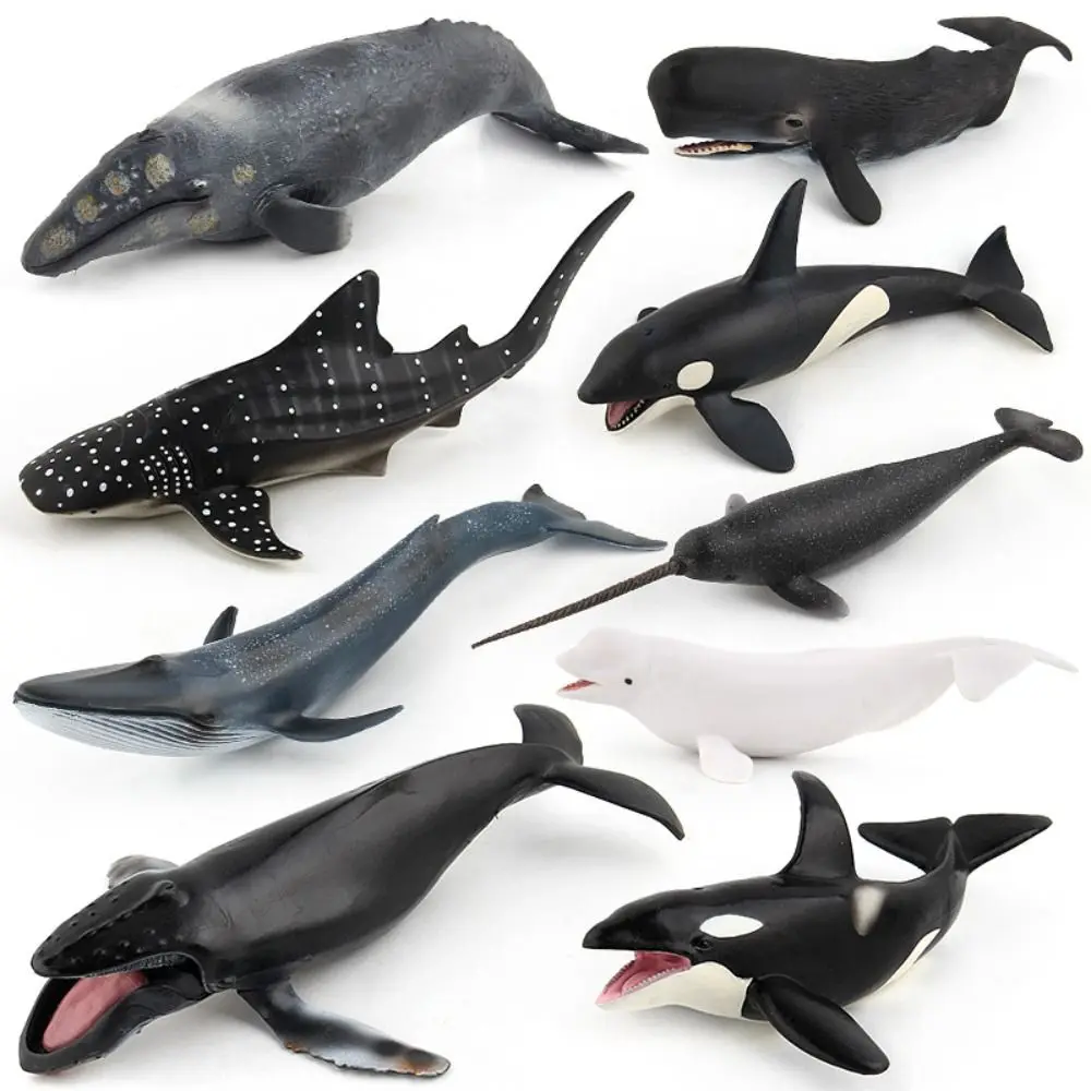 Simulation Marine Animal Model Sperm Whale Ocean Animals Whale Figurines Solid PVC Underwater Biological Sea Life Figure
Simulation Marine Animal Model Sperm Whale Ocean Animals Whale Figurines Solid PVC Underwater Biological Sea Life Figure