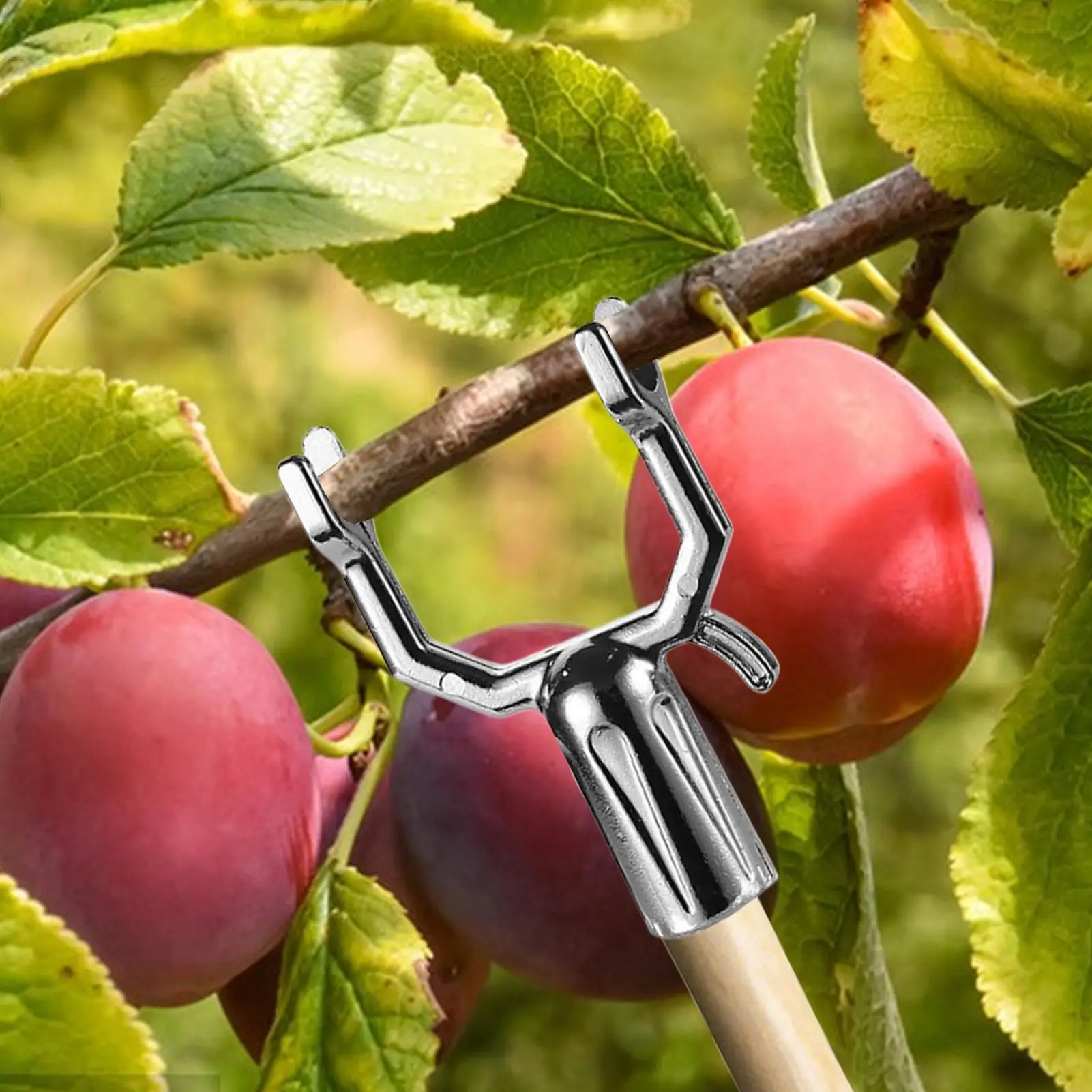 Tree Limb Support Metal Tree Crutch Support Device Alloy Straightening Fruits Vegetable Stakes for Flower Garden Outdoor House
Tree Limb Support Metal Tree Crutch Support Device Alloy Straightening Fruits Vegetable Stakes for Flower Garden Outdoor House