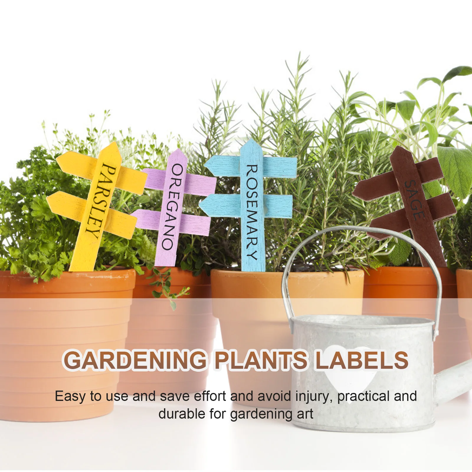 20pcs Wooden Colorful Direction Signs Garden Decorations Plant Pot Adornments Miniature Landscape Ornaments Home Supplies
20pcs Wooden Colorful Direction Signs Garden Decorations Plant Pot Adornments Miniature Landscape Ornaments Home Supplies
