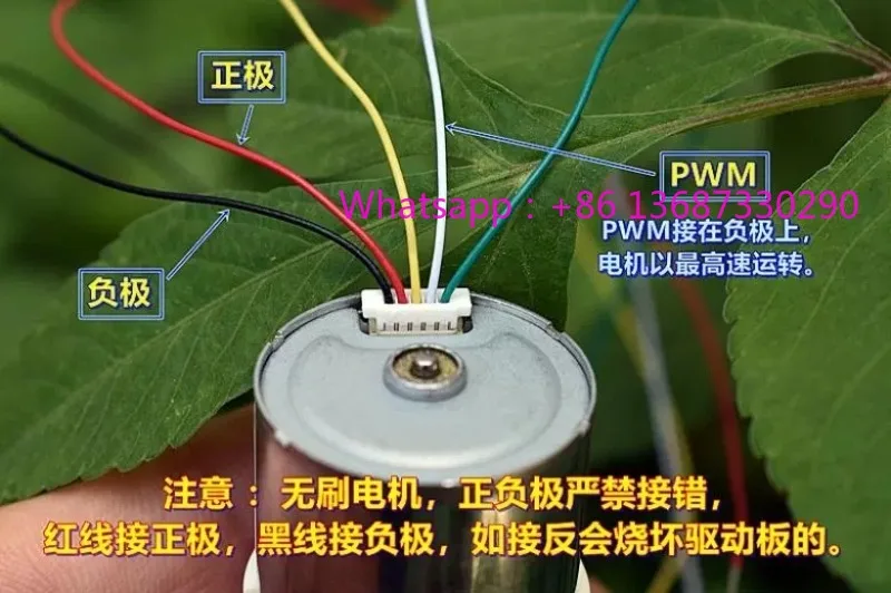 Sampling vacuum pump 12V brushless vacuum pump self suction pump 24V gas liquid