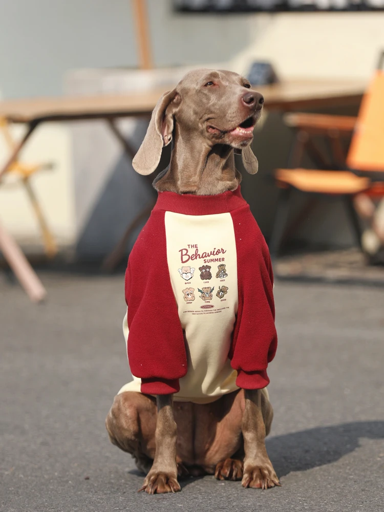 Thiened Warmth Dog Clothes for Large Dogs Golden Retriever Border Collie Labr Autumn Winter Fce Lined Dog Winter Clo...
Thiened Warmth Dog Clothes for Large Dogs Golden Retriever Border Collie Labr Autumn Winter Fce Lined Dog Winter Clo...