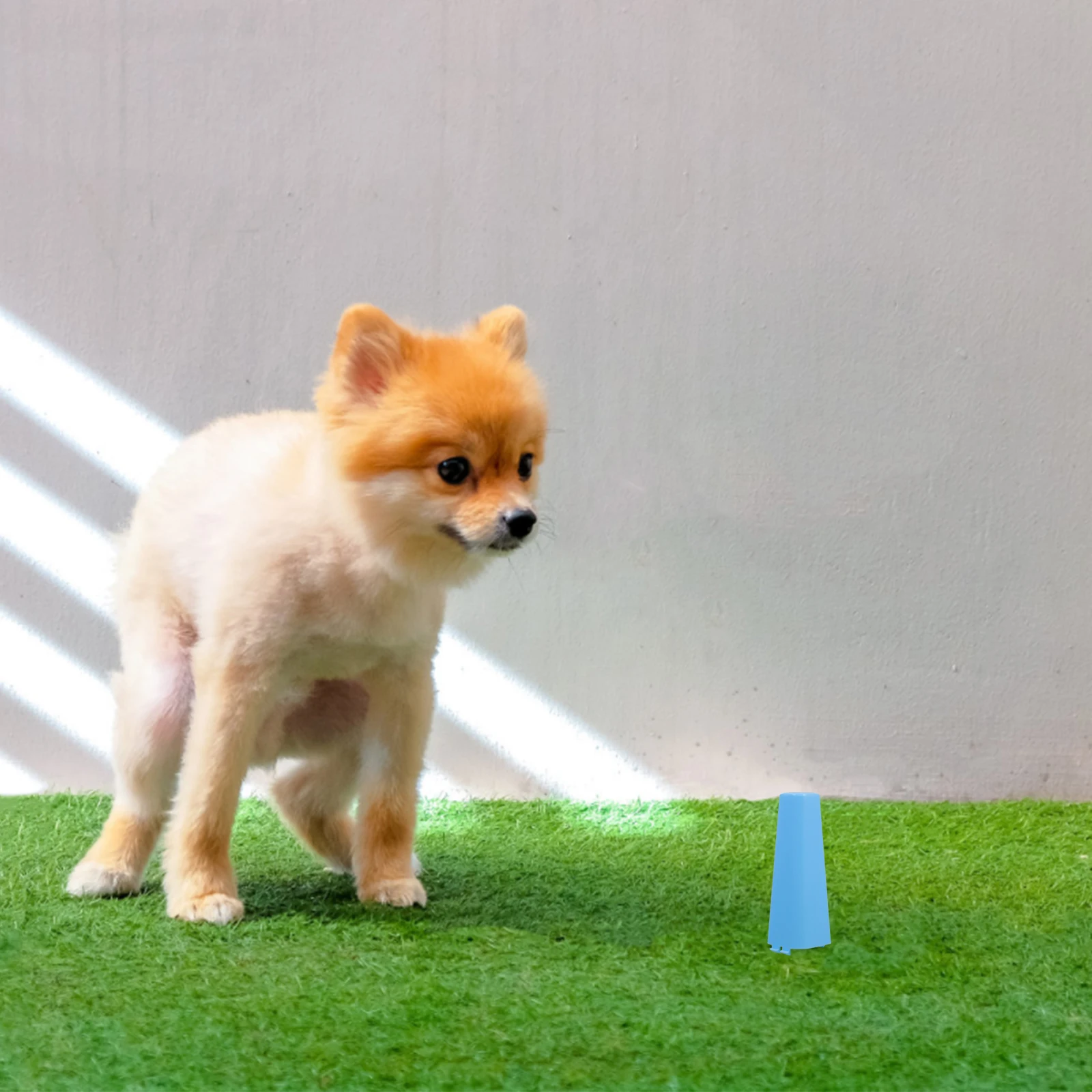 Pet Guide Column Dog Peeing Post Training Accessory Secure Clip Indoor Dog Potty Small Breeds Puppy Pad Holder Post Durable Easy
Pet Guide Column Dog Peeing Post Training Accessory Secure Clip Indoor Dog Potty Small Breeds Puppy Pad Holder Post Durable Easy