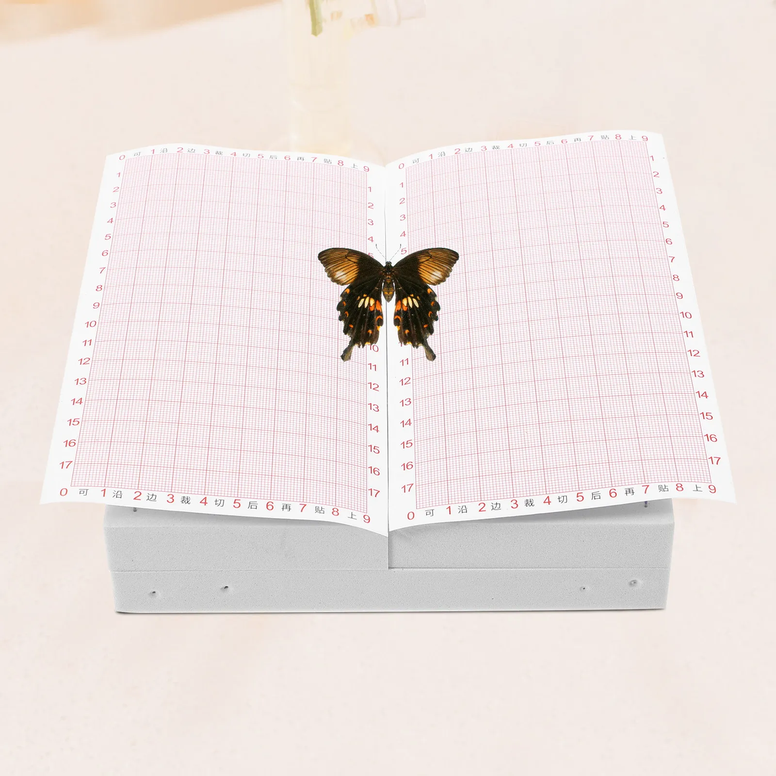 Insect Specimen Board Eva Material Adjustable Butterfly Wings Spreading Experiment Teaching Display Tool for Insect Pinning and
Insect Specimen Board Eva Material Adjustable Butterfly Wings Spreading Experiment Teaching Display Tool for Insect Pinning and