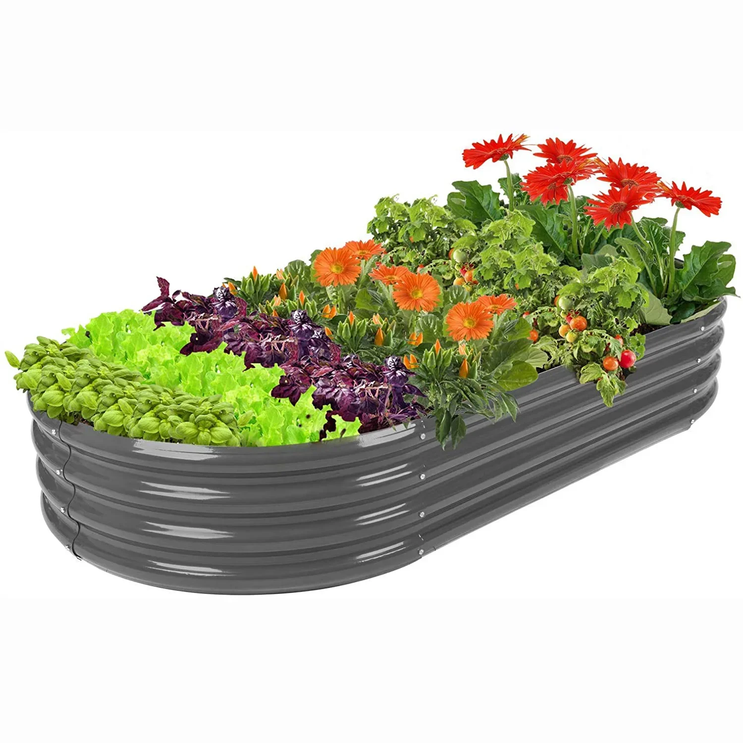 Metal Raised Garden Beds Galvanized Steel Planter Box Outdoor Vegetables Garden Bed
Metal Raised Garden Beds Galvanized Steel Planter Box Outdoor Vegetables Garden Bed